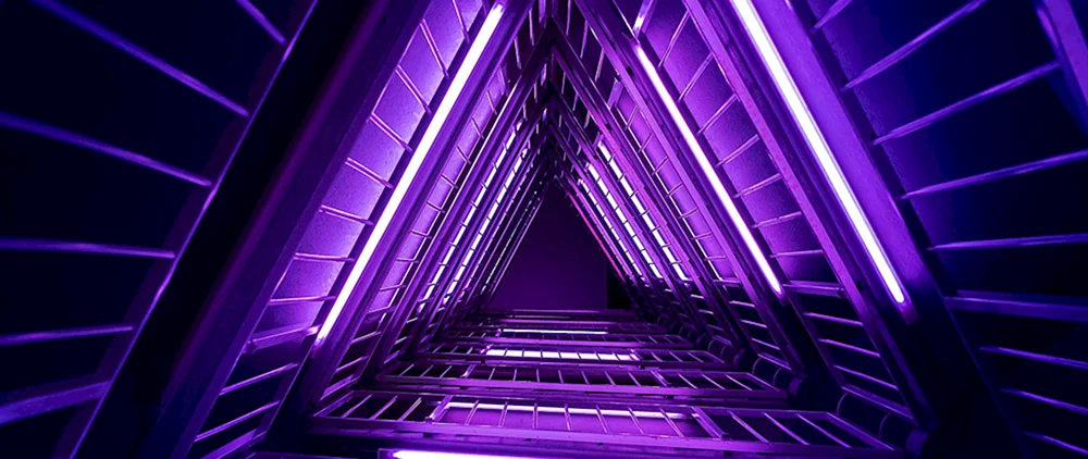 Schwarz Rosa Neon