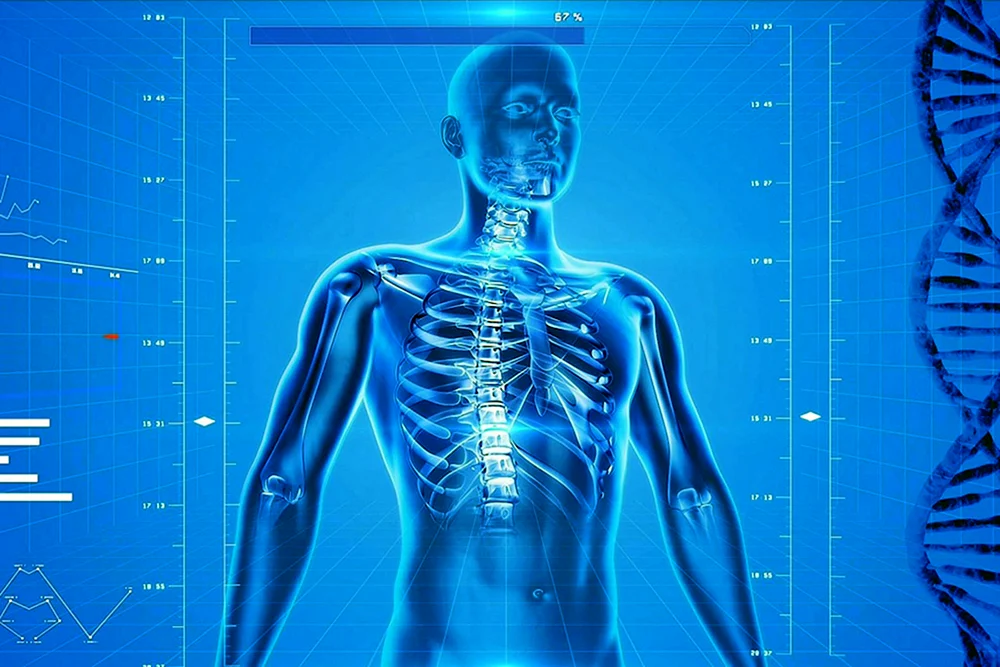 Physiologie und Medizin