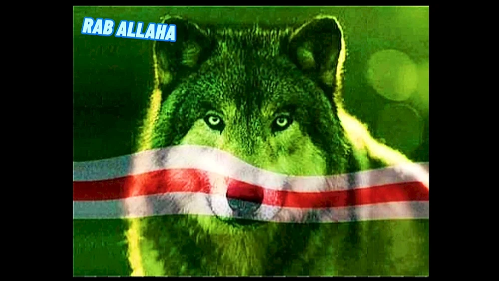 Flagge von Tschetschenien mit einem Wolf