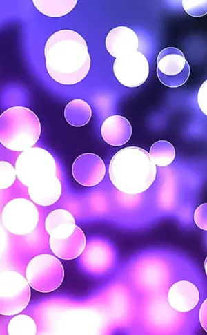 Hintergrund-Highlights