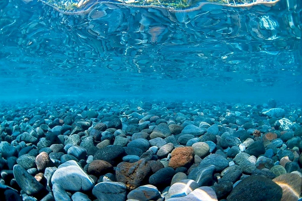 Takeshi Amano Aquarium