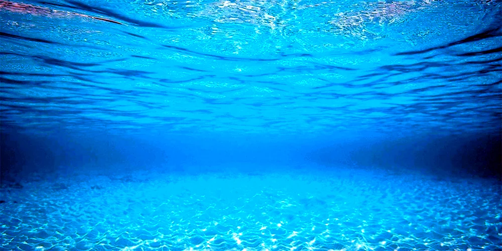 Holländisches Aquascape