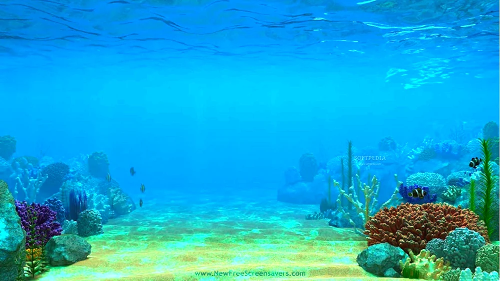 Aquascape Dragonstone