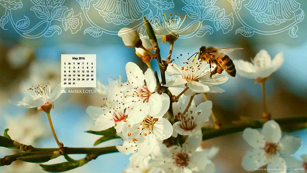 Hintergrund für Kalender
