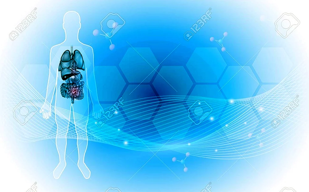 Anatomie Hintergrund