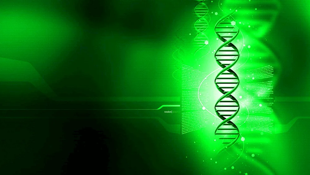 Hintergrund für Biologiepräsentation