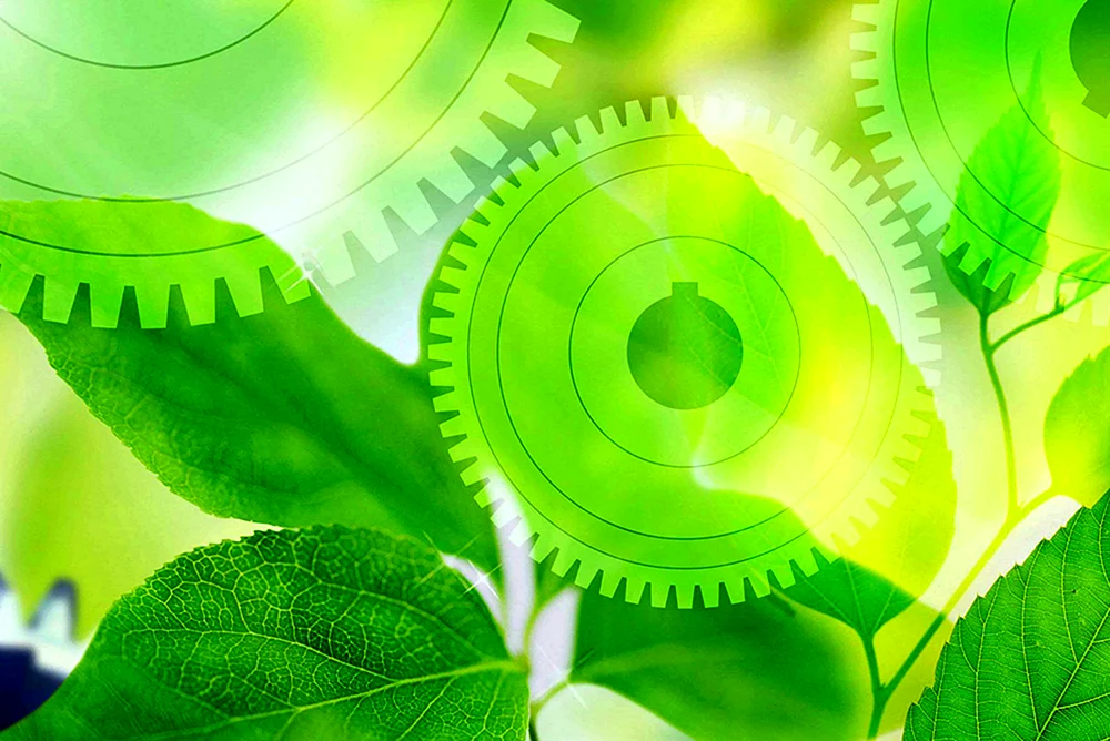 Biologiehintergrund für Projekt