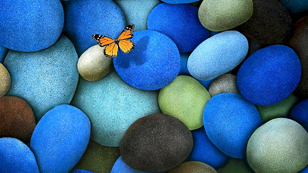 Bunte Bilder