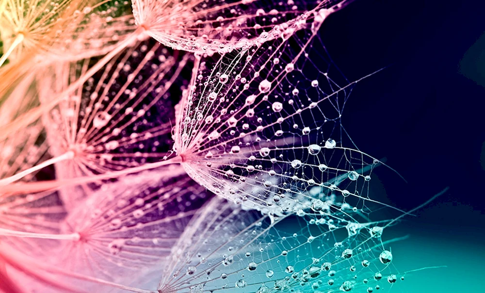 Desktop-Hintergrund