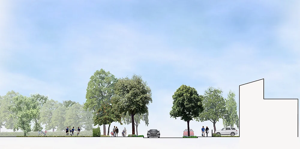 Hintergrund für archicad Visualisierung Wald