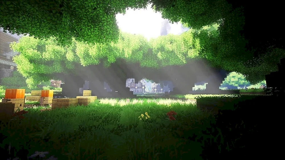 Maincraft 1. 19 mit Shadern