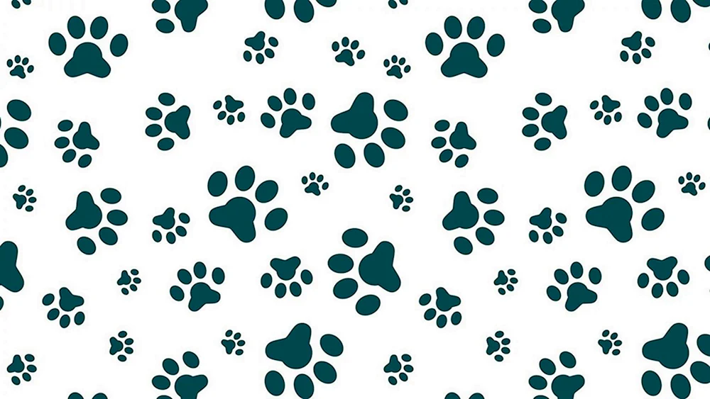 Hunde