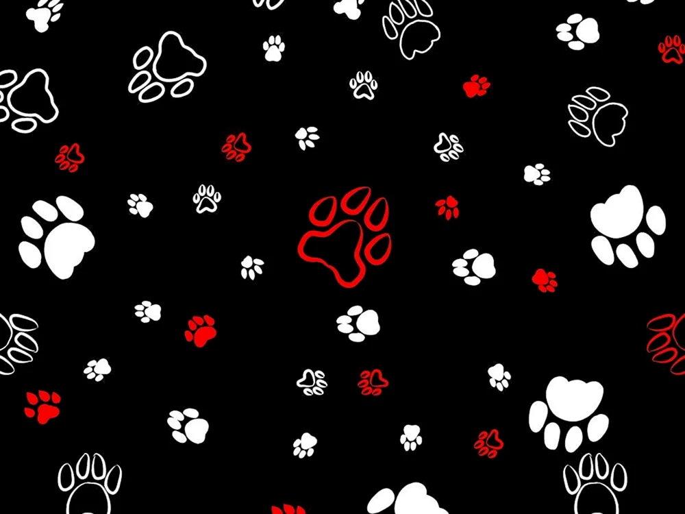 Pfoten Hintergrund