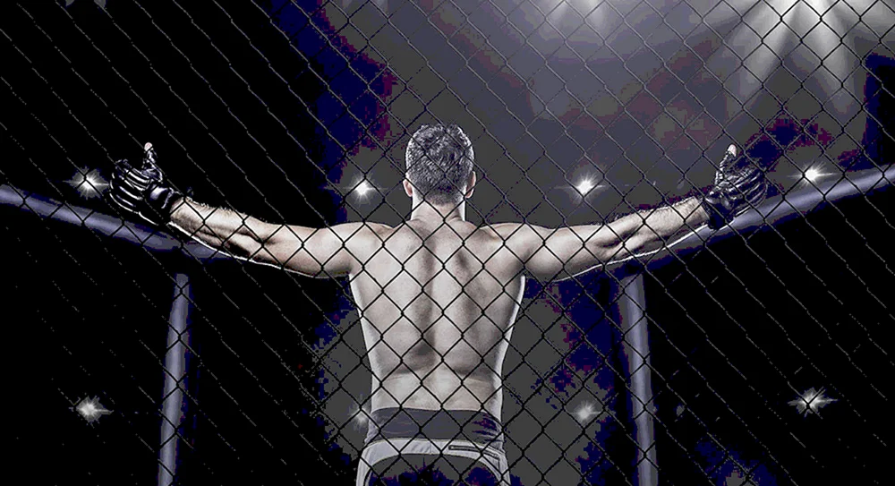 UFC MMA Hintergrund