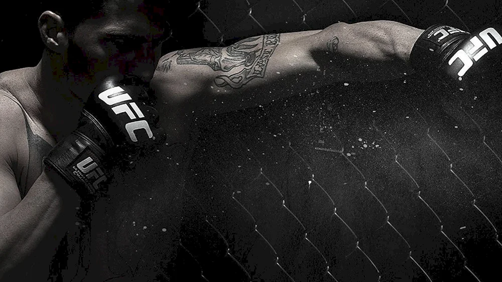 MMA