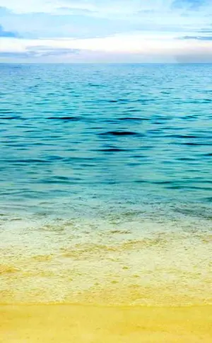 Meer