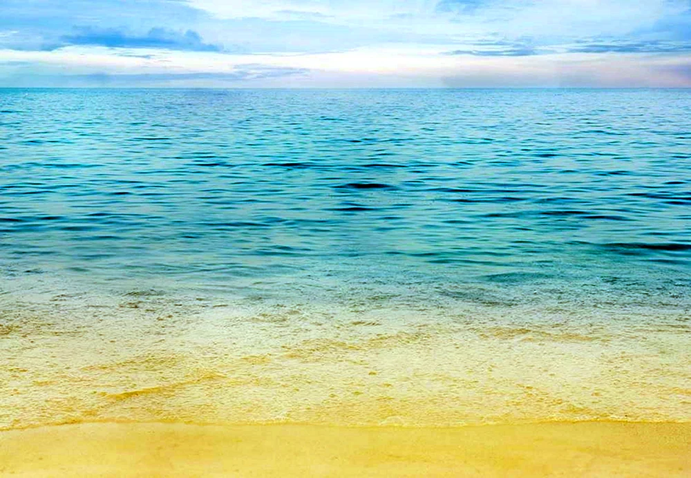 Meer