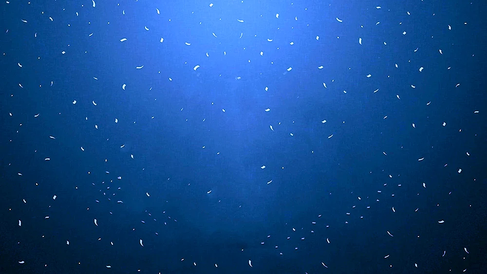Hintergrundbild für Website