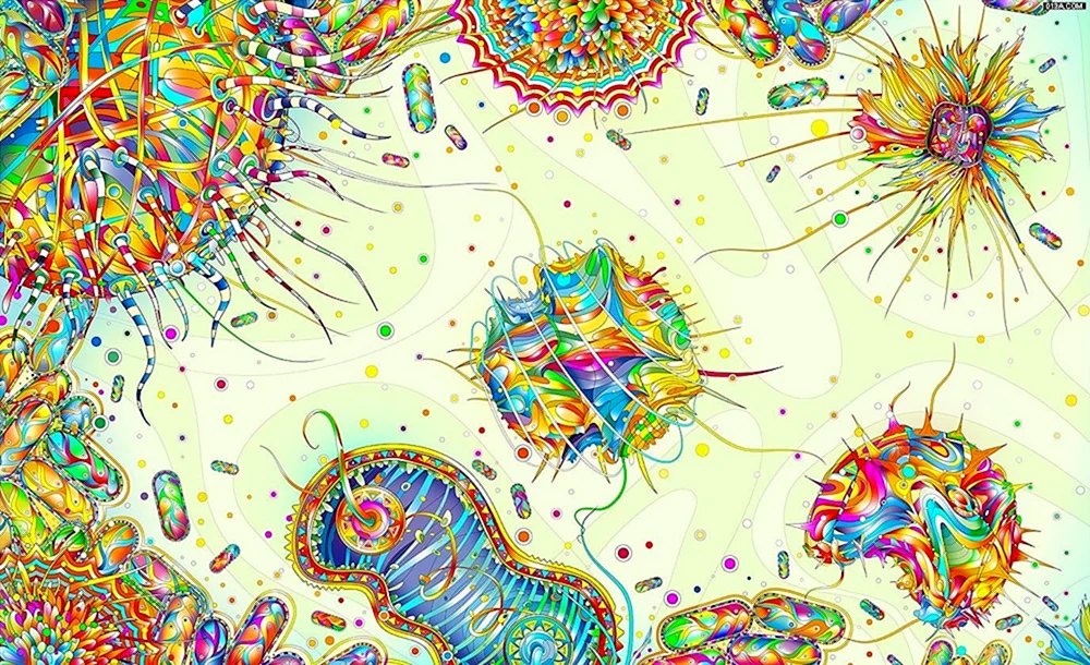 Mikrobiologie Hintergrund