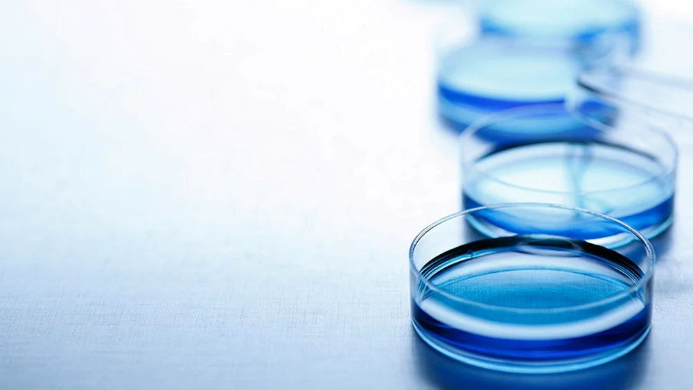 Mikrobiologie Hintergrund