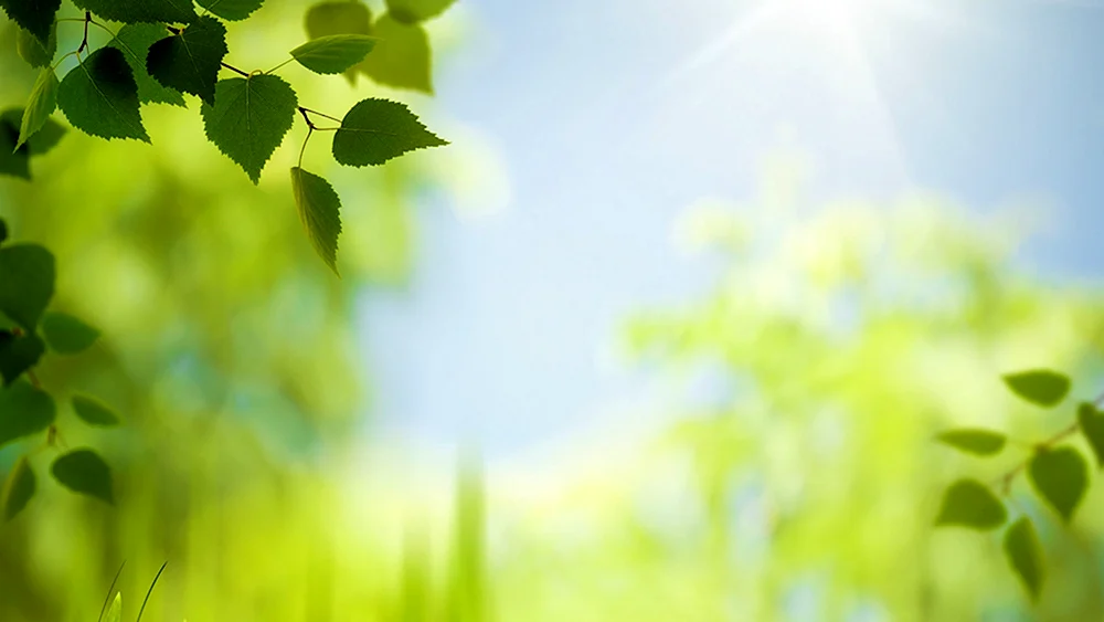 Hintergrund für Präsentation Natur