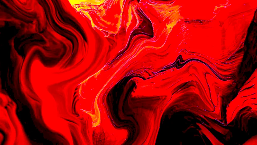 Schwarz rote Blumen