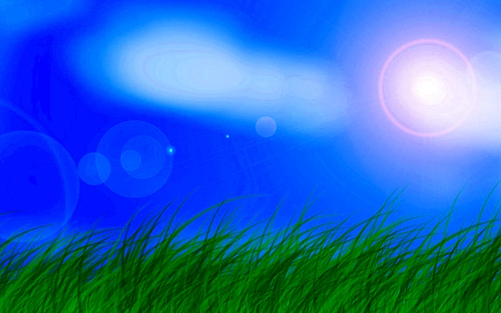 Gras und Himmel