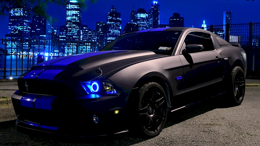 Mustang Chevrolet Camaro