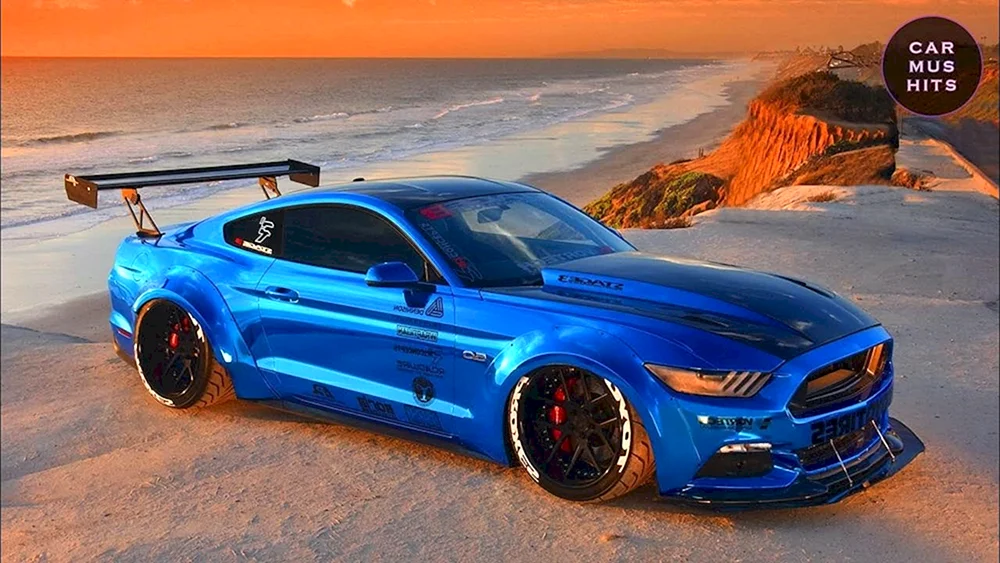 Ford Mustang Hoonicorn