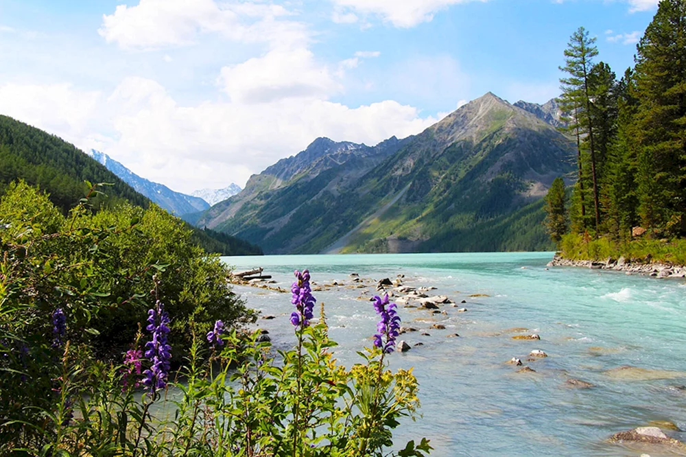 Kucherlinskiye Seen Altai