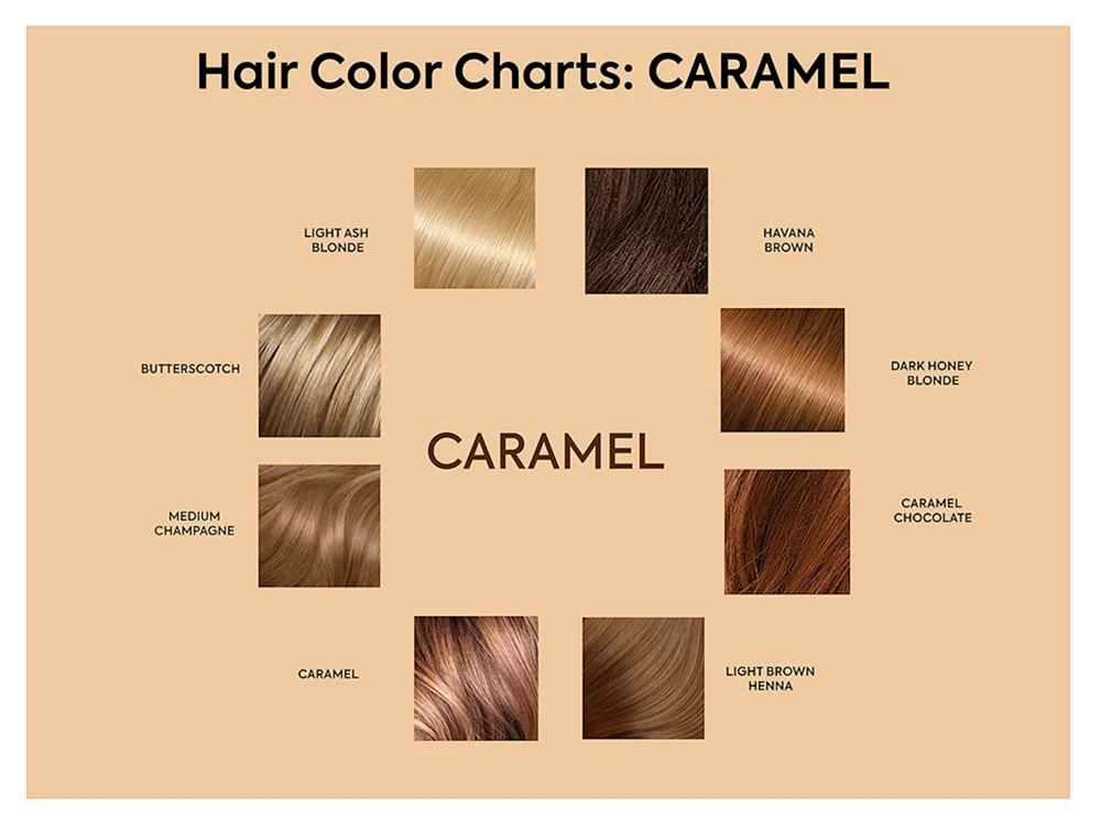 Garnier 6. 34