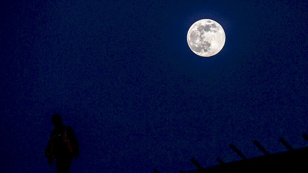 Blue Moon photo