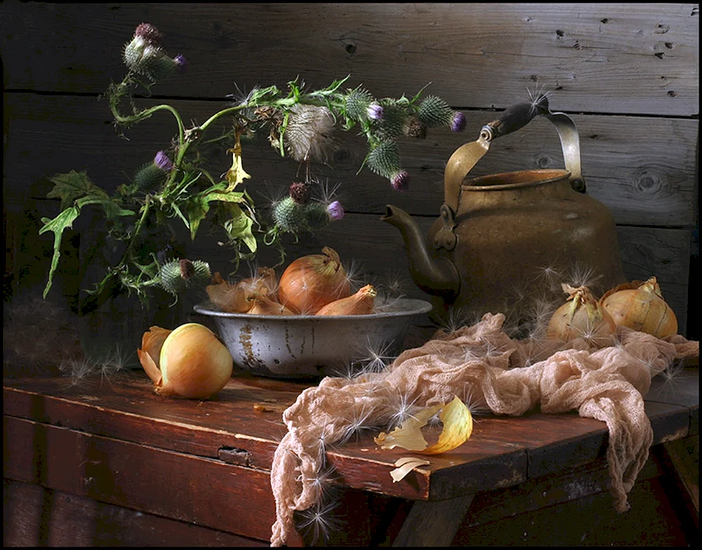 Photonenstilleben von Irina Bykova