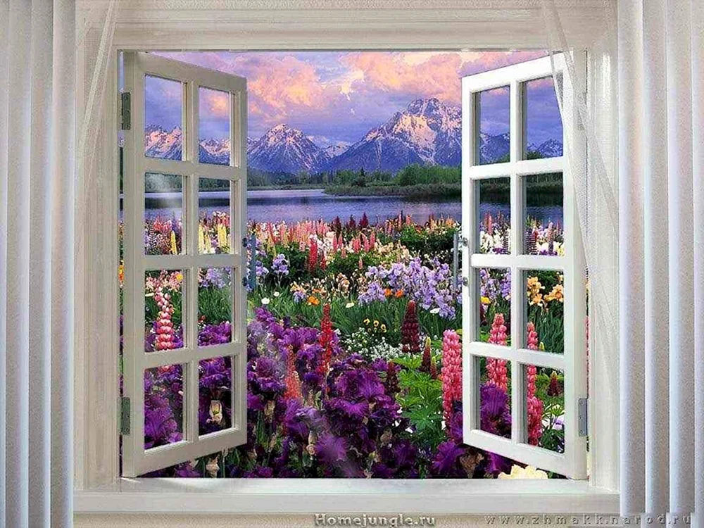 Fenster in die Natur