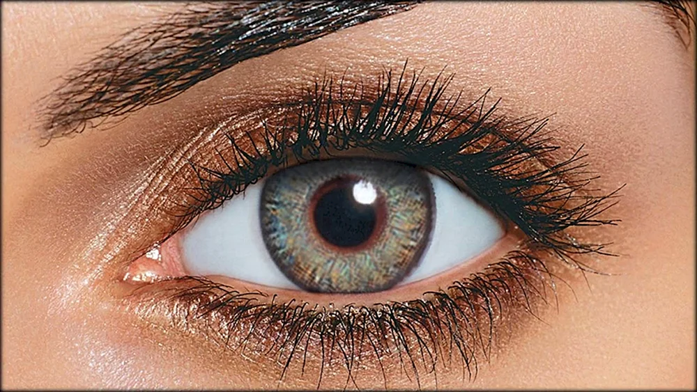 FRESHLOOK Colorblends Grün