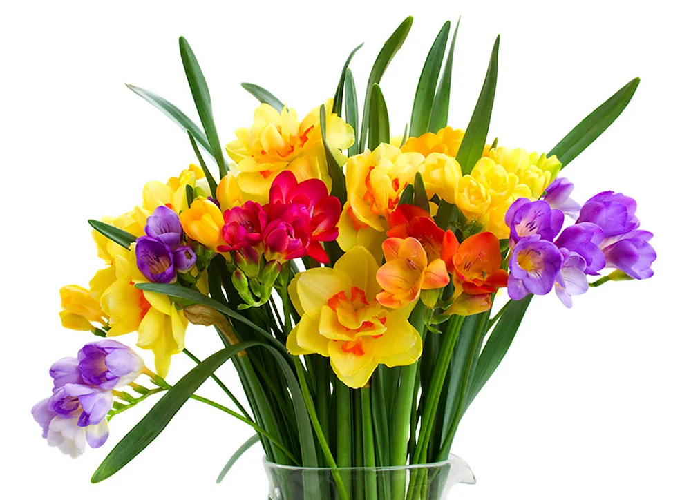 Tulpen-Narzissen-Iris-Strauß