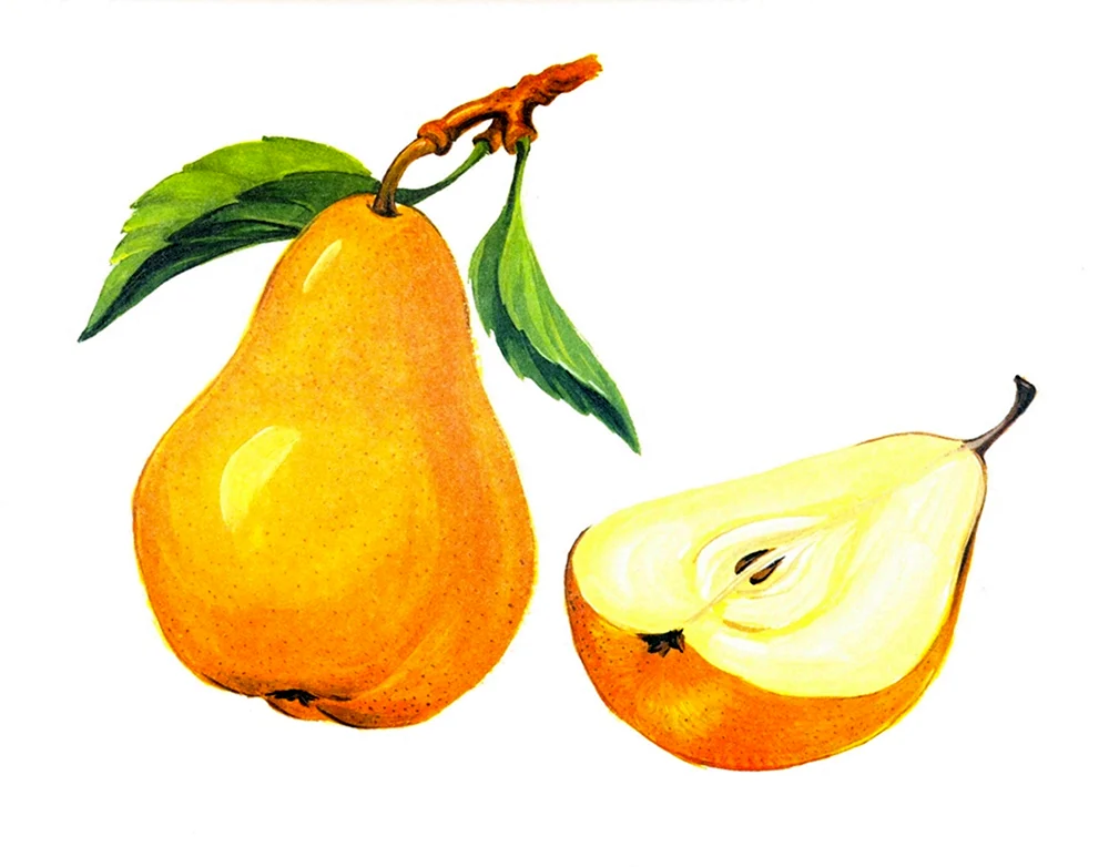 Früchte zum Ausschneiden