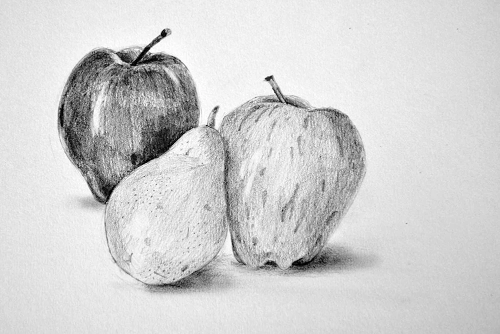 Obst mit Bleistift