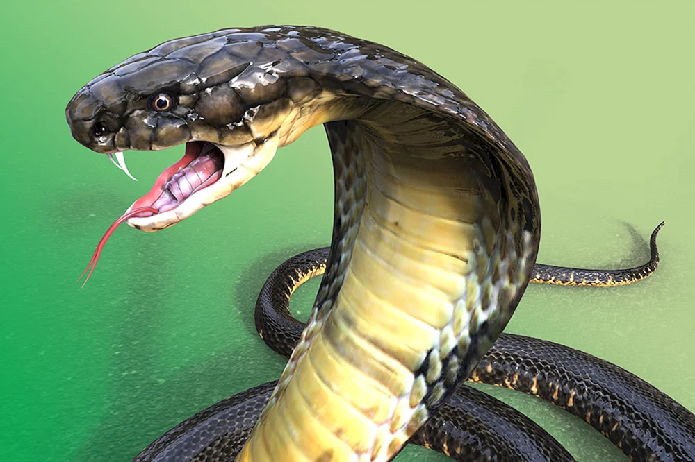 Cobra Nagaina
