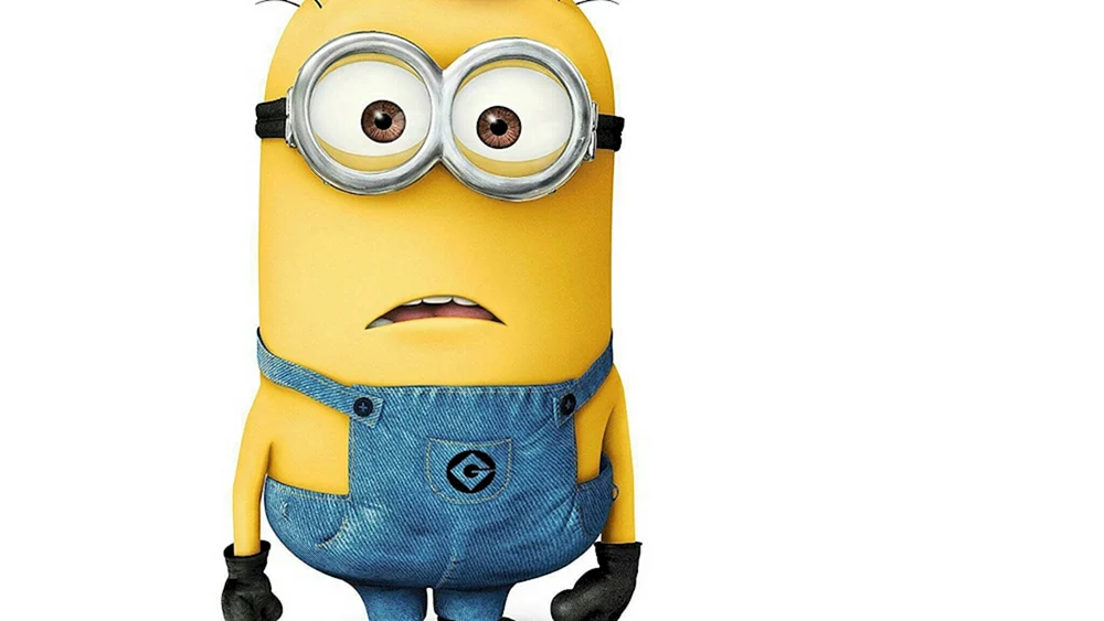 Stewart Minion