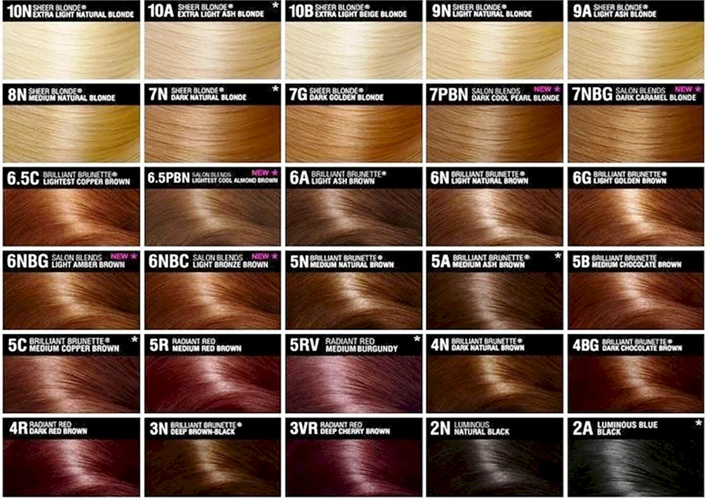 Gamma perfekte Farbe Haarfärbemittel Loreal Palette