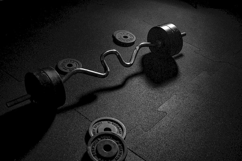 Fitness-Banner