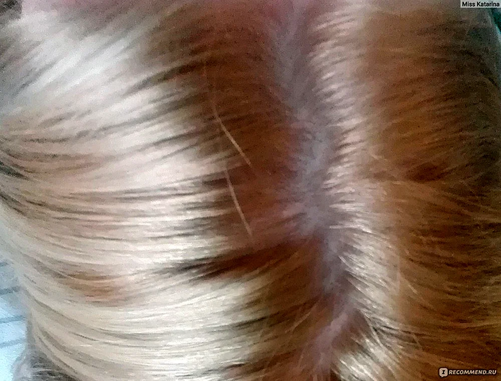 Capus 6.12 dunkel tabakblond