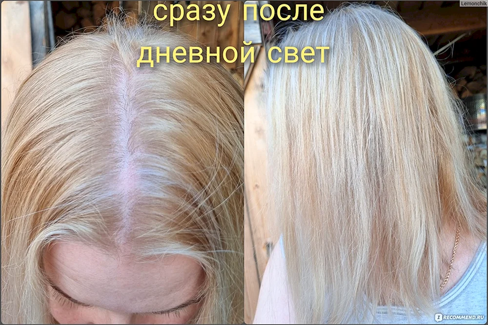 Garnier 112 perlblondes Färbemittel