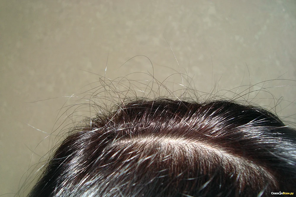 Garnier 4.15 Noble Ruby