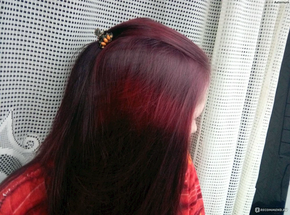 Garnier 5. 62 Royal Garnet
