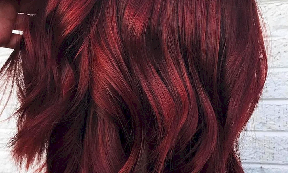 Garnier 5.62 Royal Garnet