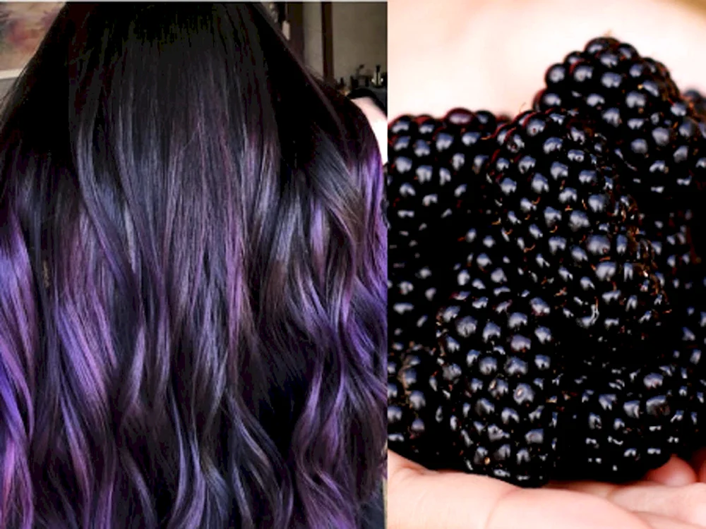 Garnier Brombeer Farbstoff