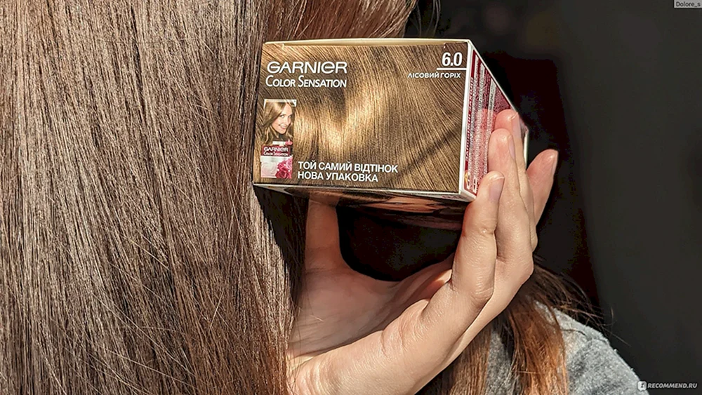 Garnier Color 6 Forest Walnut