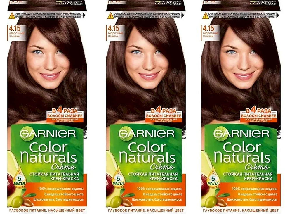 Garnier Frosty Chestnut
